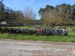 Mixed land, para Sale