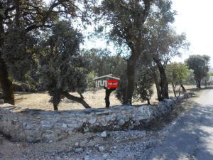 Mixed land, para Sale