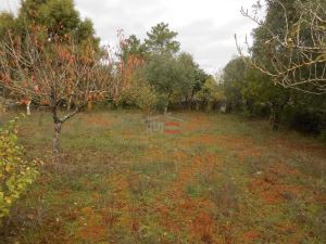 Mixed land, para Sale