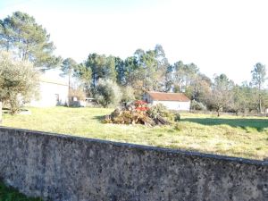 Mixed land, para Sale