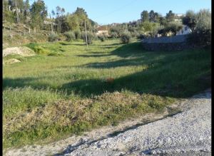 Mixed land, para Sale