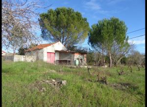 Mixed land, para Sale