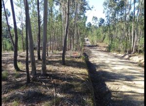 Mixed land, para Sale