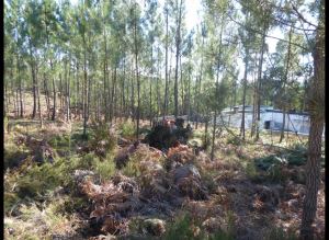 Mixed land, para Sale