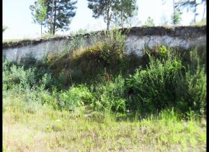 Mixed land, para Sale