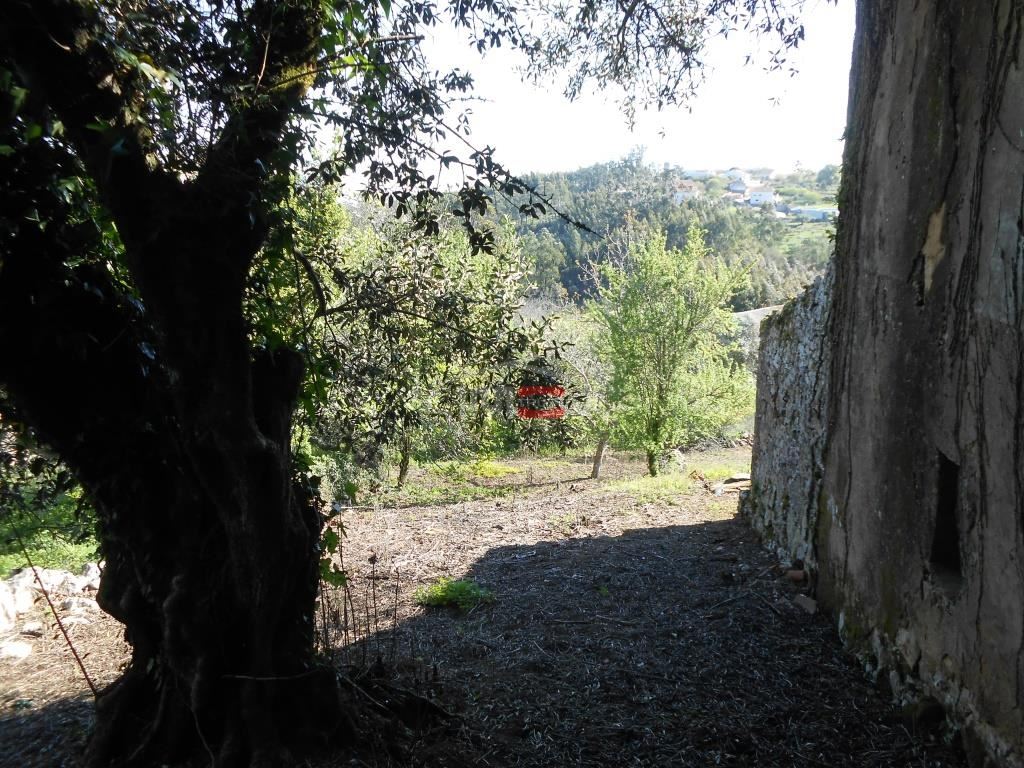 Moradia T3 para Venda em São Mamede Foto 5/22