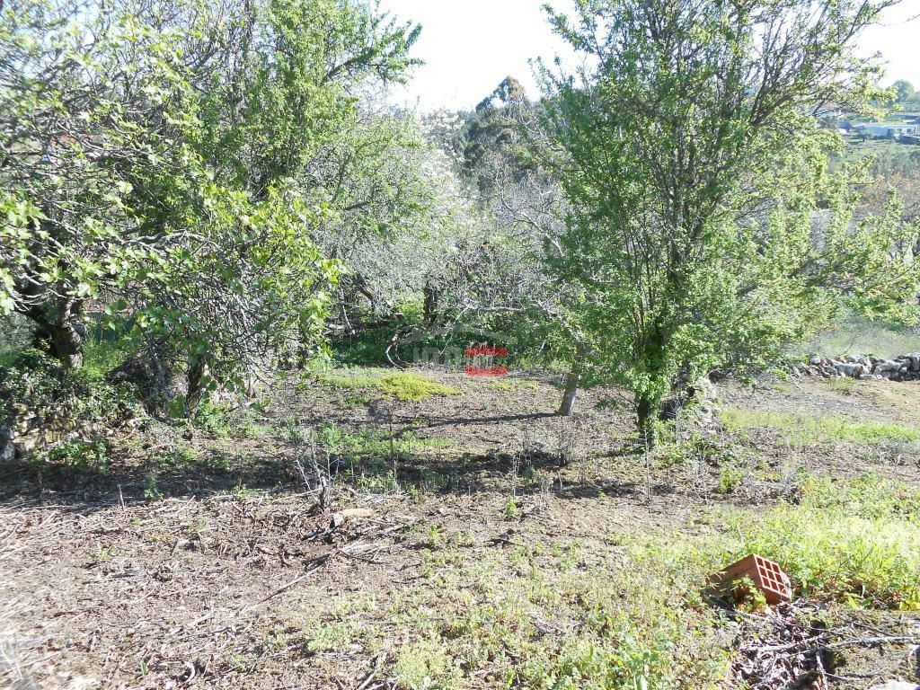 Moradia T3 para Venda em São Mamede Foto 8/22