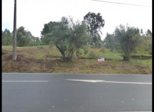 Mixed land, para Sale