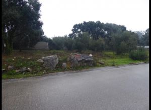 Mixed land, para Sale