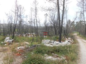 Mixed land, para Sale