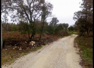 Mixed land, para Sale