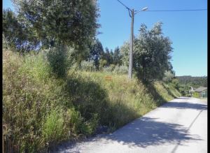 Mixed land, para Sale