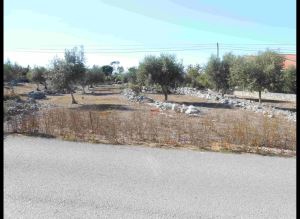 Mixed land, para Sale