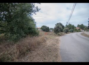 Mixed land, para Sale