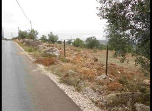 Mixed land, para Sale