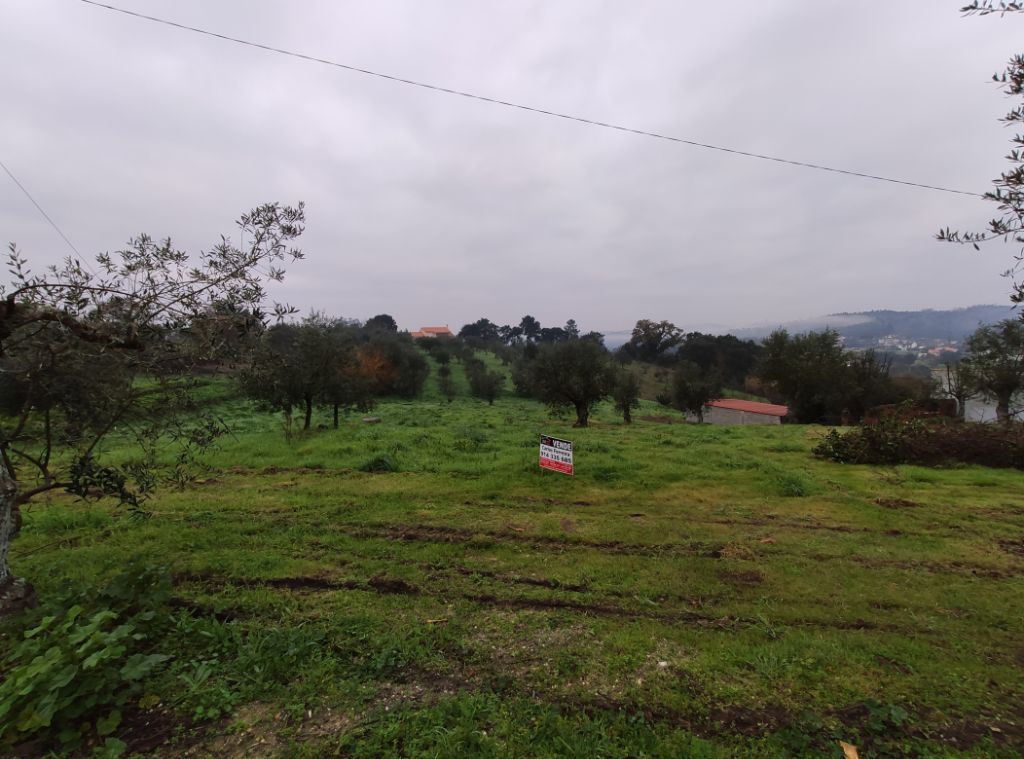 Terreno Agricola ou Rústico para Venda em Atouguia