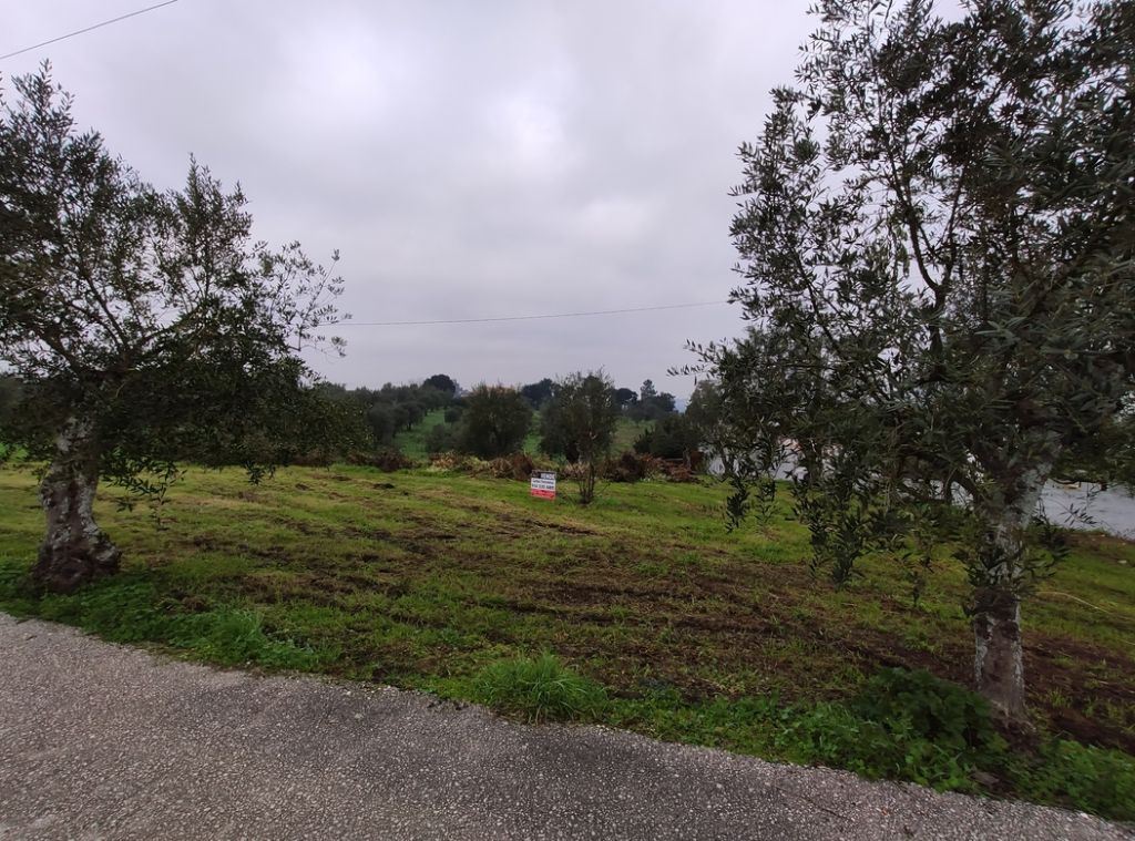 Terreno Agricola ou Rústico para Venda em Atouguia