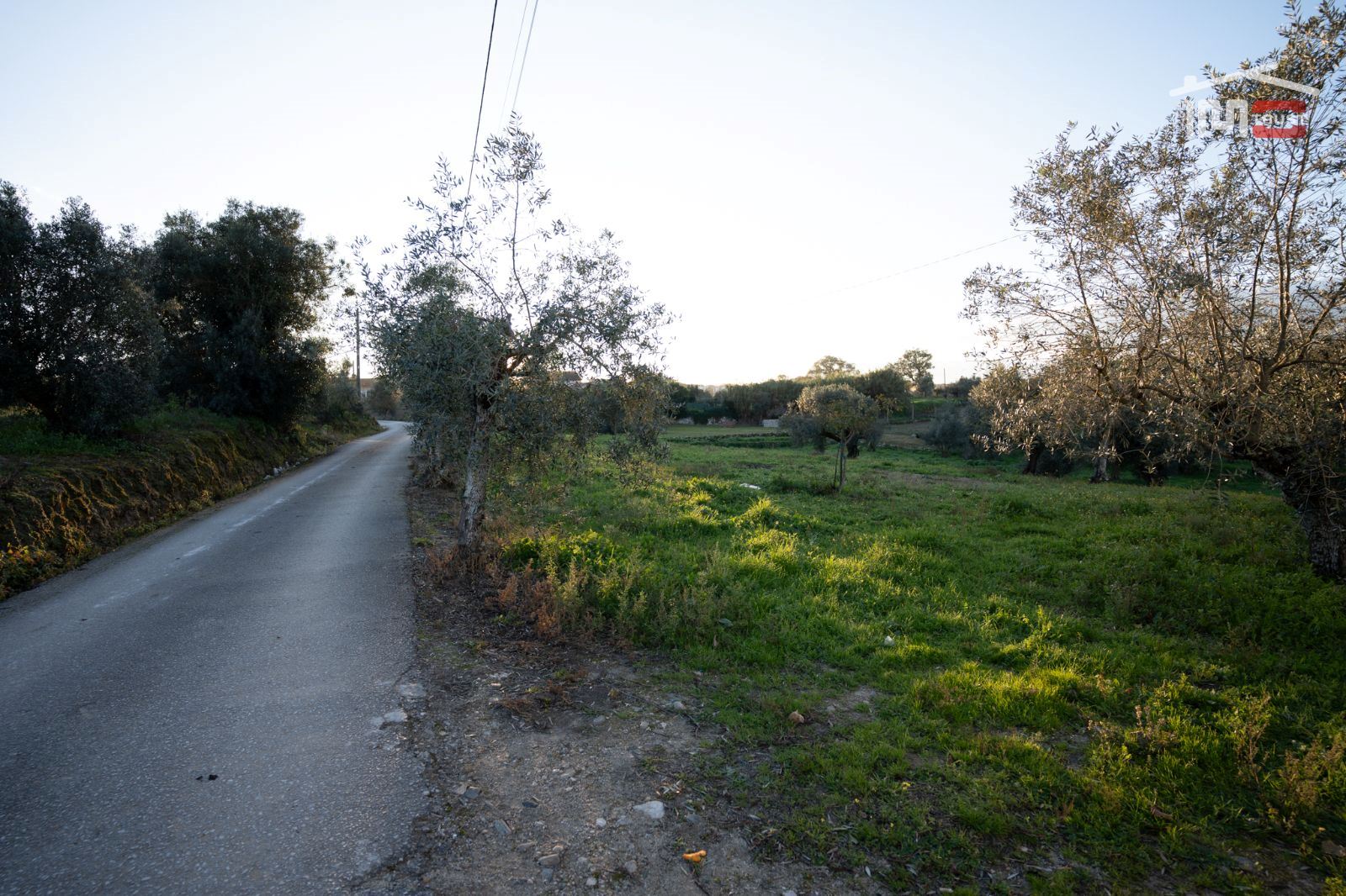 Terreno Agricola ou Rústico para Venda em Atouguia