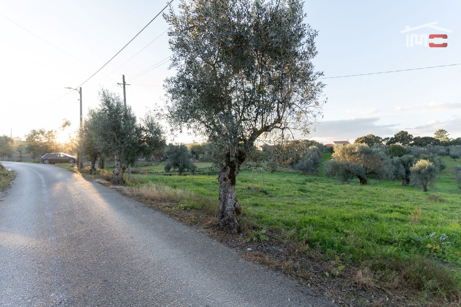Terreno Agricola ou Rústico para Venda em Atouguia