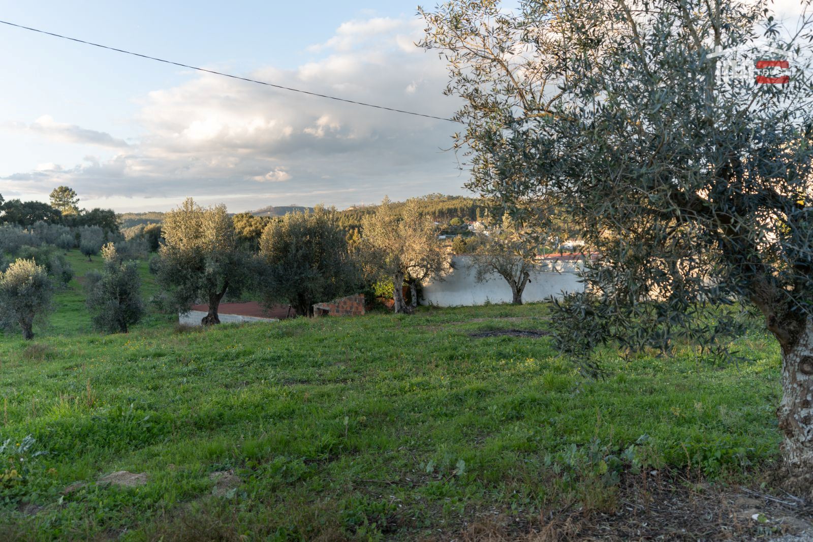 Terreno Agricola ou Rústico para Venda em Atouguia