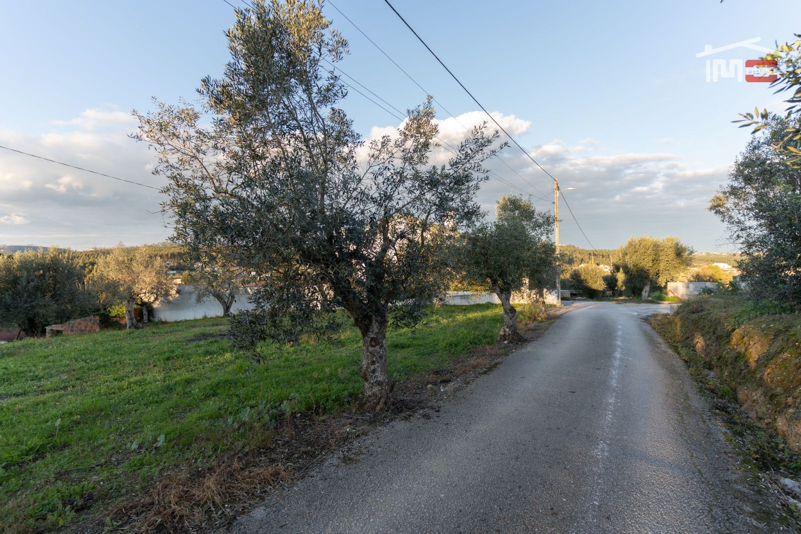 Terreno Agricola ou Rústico para Venda em Atouguia