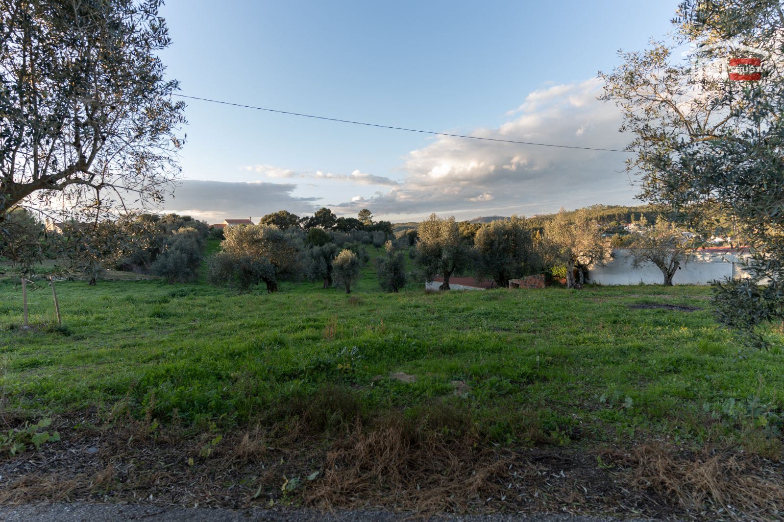 Terreno Agricola ou Rústico para Venda em Atouguia