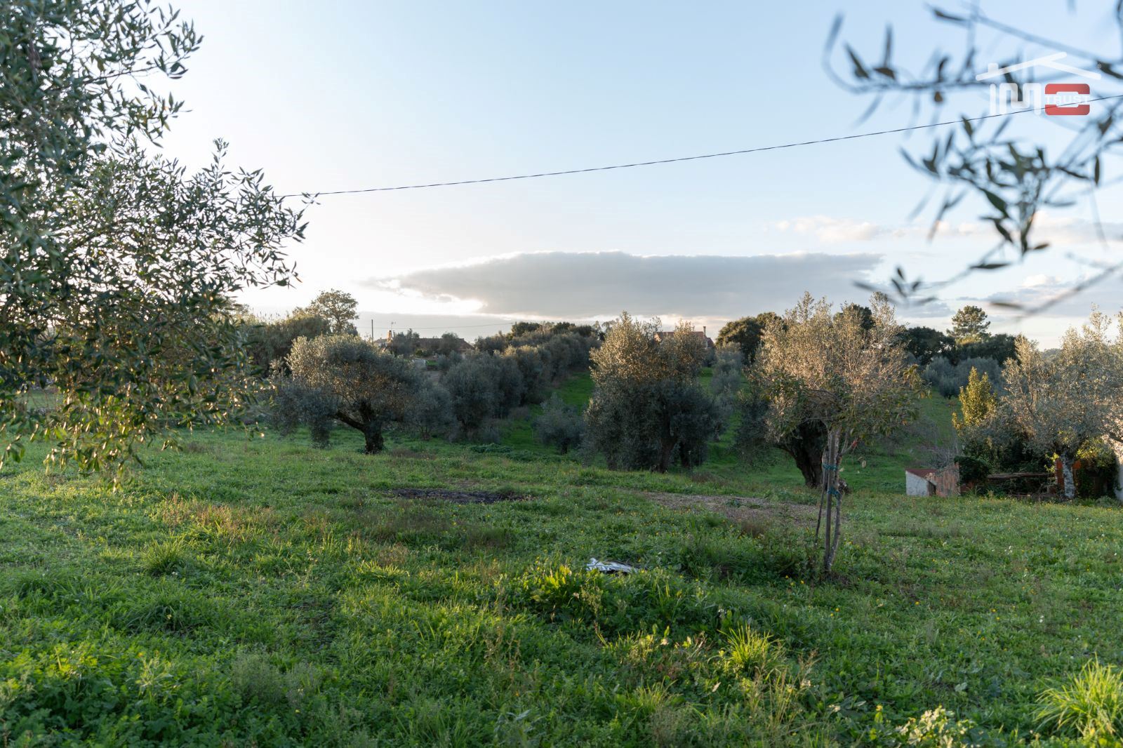 Terreno Agricola ou Rústico para Venda em Atouguia