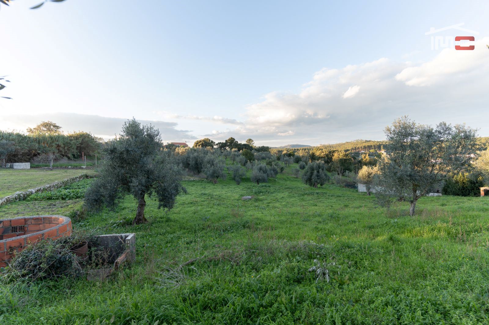 Terreno Agricola ou Rústico para Venda em Atouguia