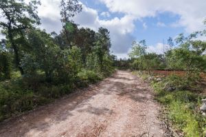 Rustic land, para Sale