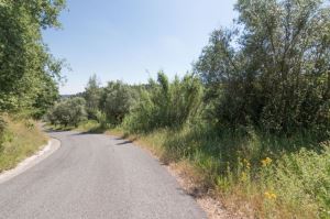 Lot for tween housing, para Sale