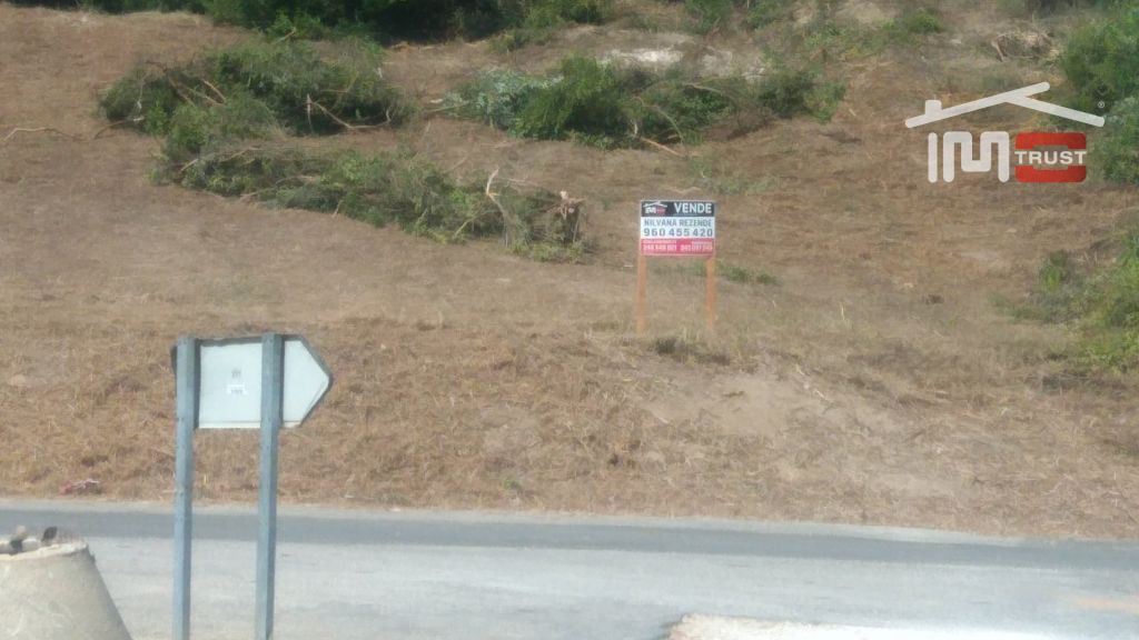 Terreno Agricola ou Rústico para Venda em Almoster Foto 4