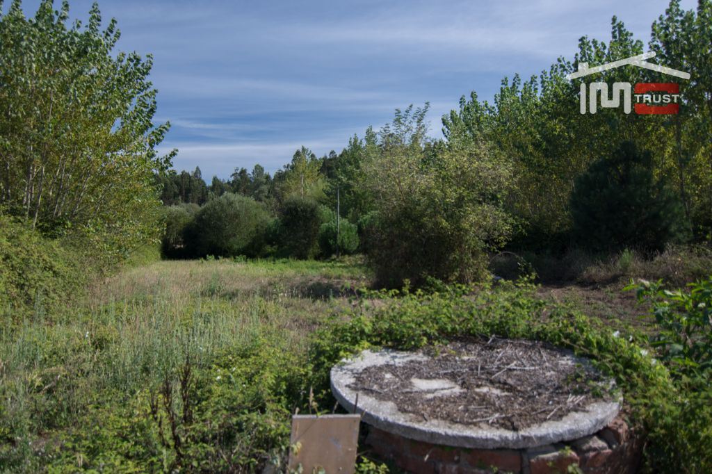 Terreno Agricola ou Rústico para Venda em Santiago e São Simão de Litém e Albergaria dos Doze