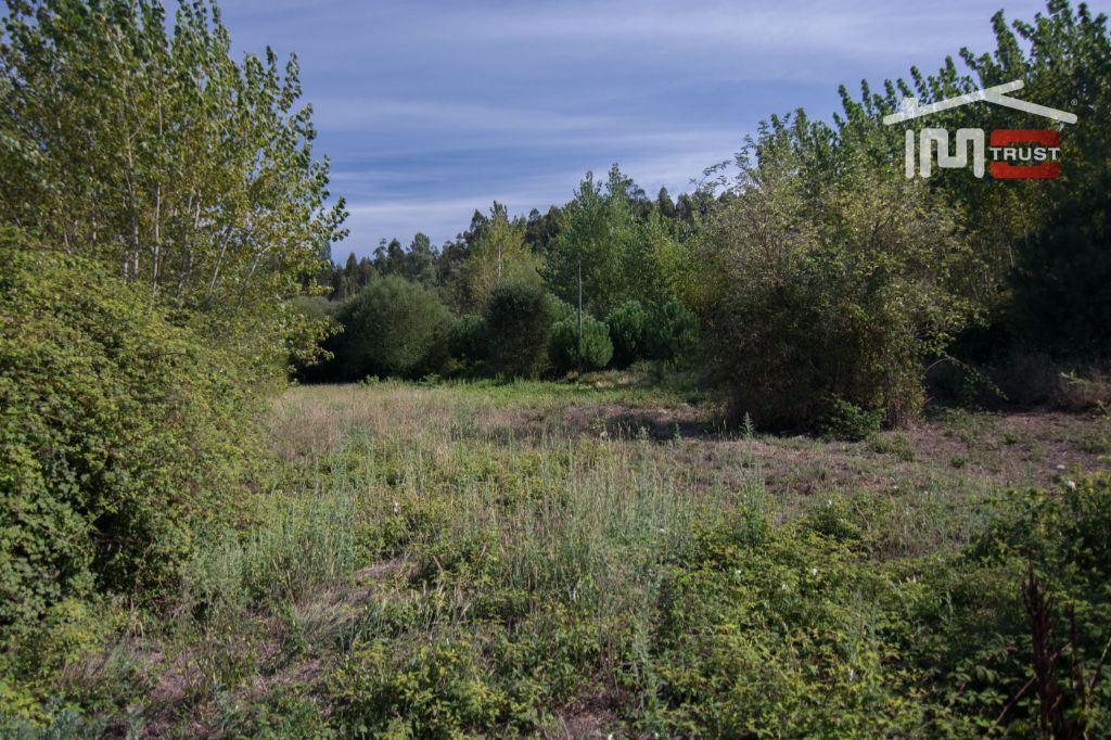Terreno Agricola ou Rústico para Venda em Santiago e São Simão de Litém e Albergaria dos Doze