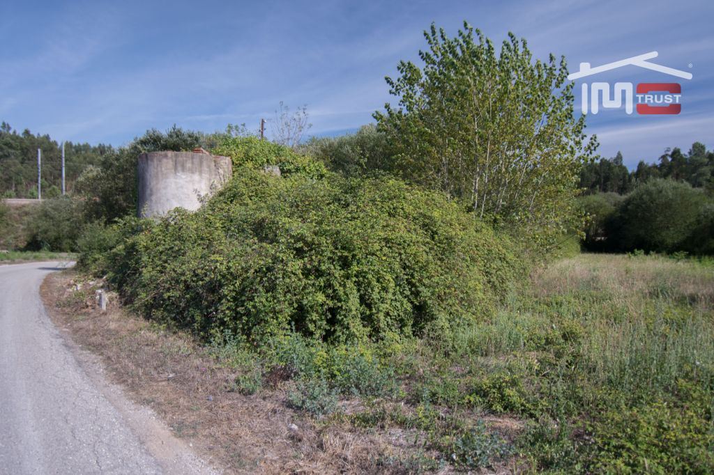 Terreno Agricola ou Rústico para Venda em Santiago e São Simão de Litém e Albergaria dos Doze