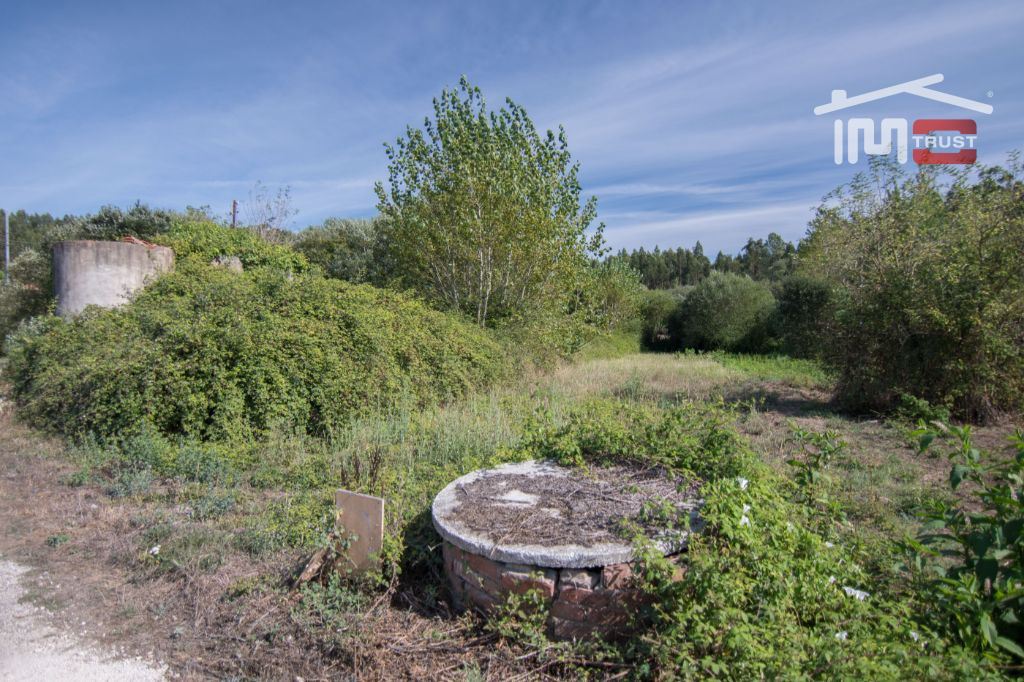 Terreno Agricola ou Rústico para Venda em Santiago e São Simão de Litém e Albergaria dos Doze