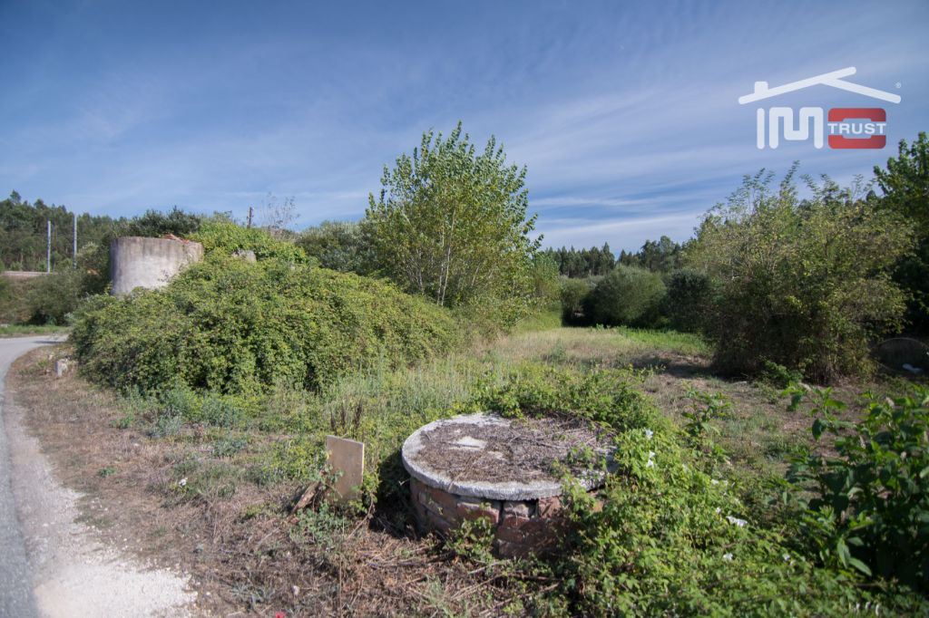 Terreno Agricola ou Rústico para Venda em Santiago e São Simão de Litém e Albergaria dos Doze
