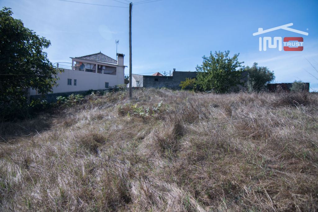 Terreno Agricola ou Rústico para Venda em Santiago e São Simão de Litém e Albergaria dos Doze
