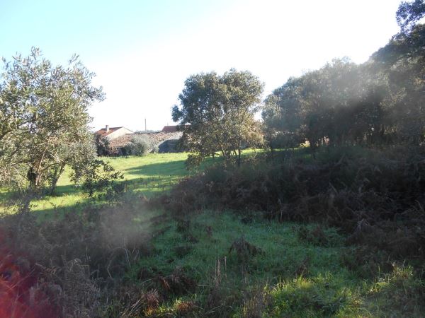 Rustic land, para Sale