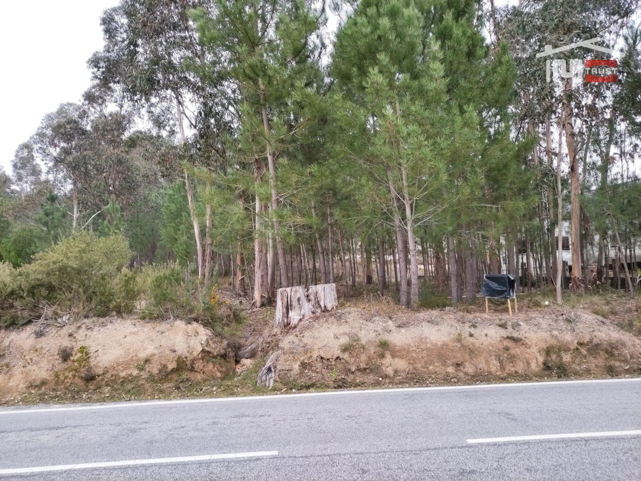 Terreno Agricola ou Rústico para Venda em Urqueira