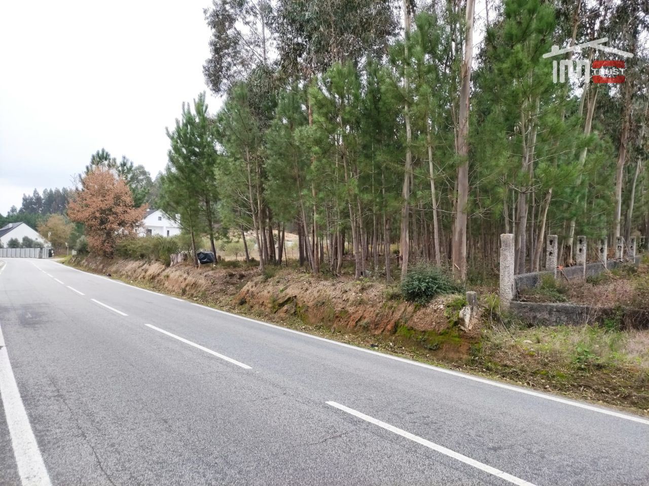 Terreno Agricola ou Rústico para Venda em Urqueira