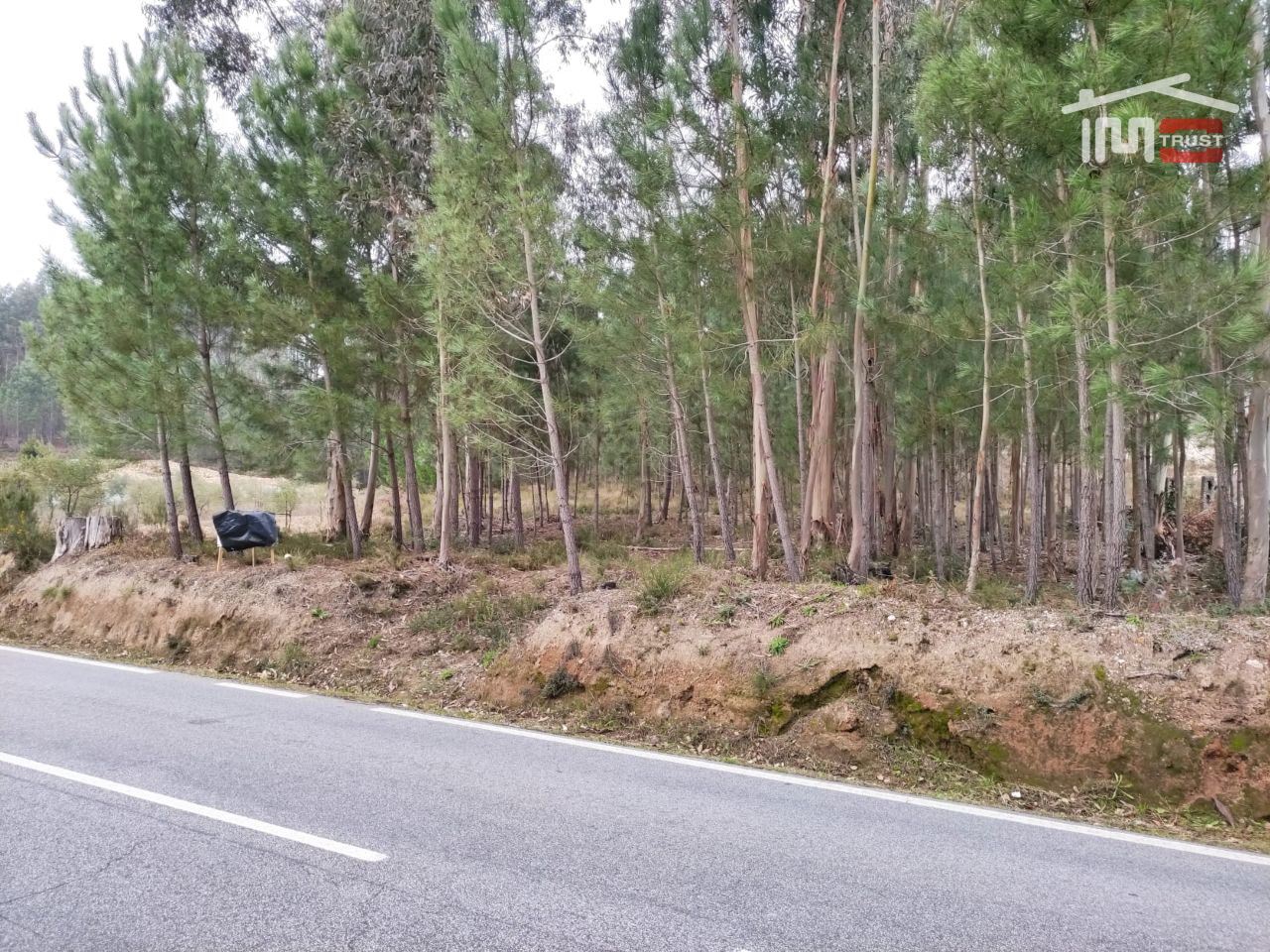 Terreno Agricola ou Rústico para Venda em Urqueira