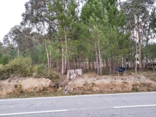 Rustic land, para Sale