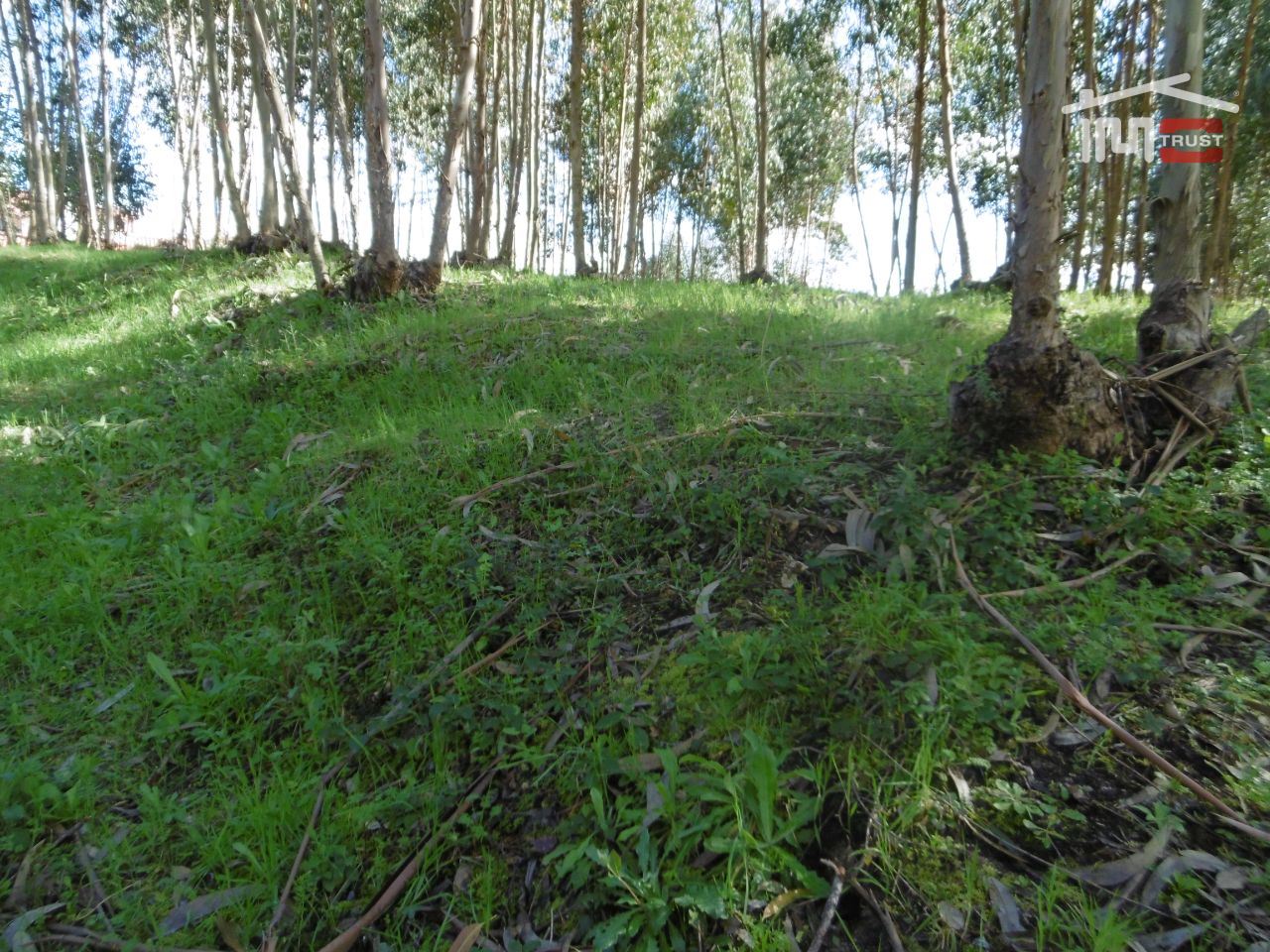 Terreno para Venda em Nossa Senhora da Piedade