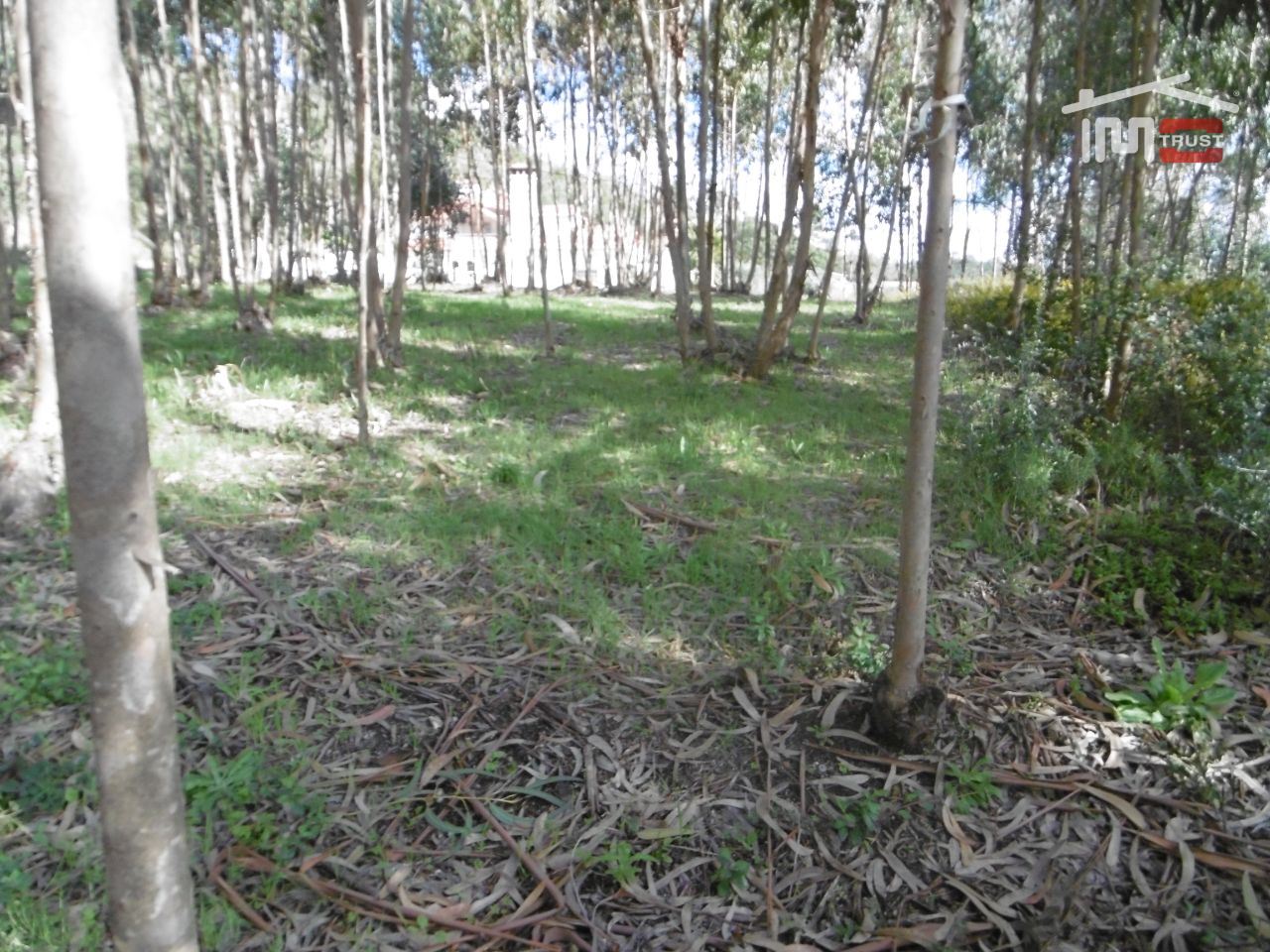 Terreno para Venda em Nossa Senhora da Piedade