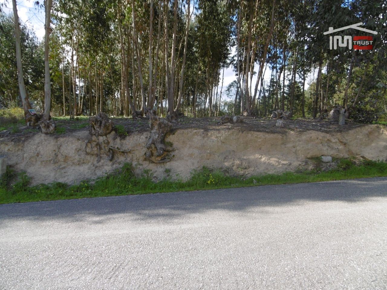 Terreno para Venda em Nossa Senhora da Piedade