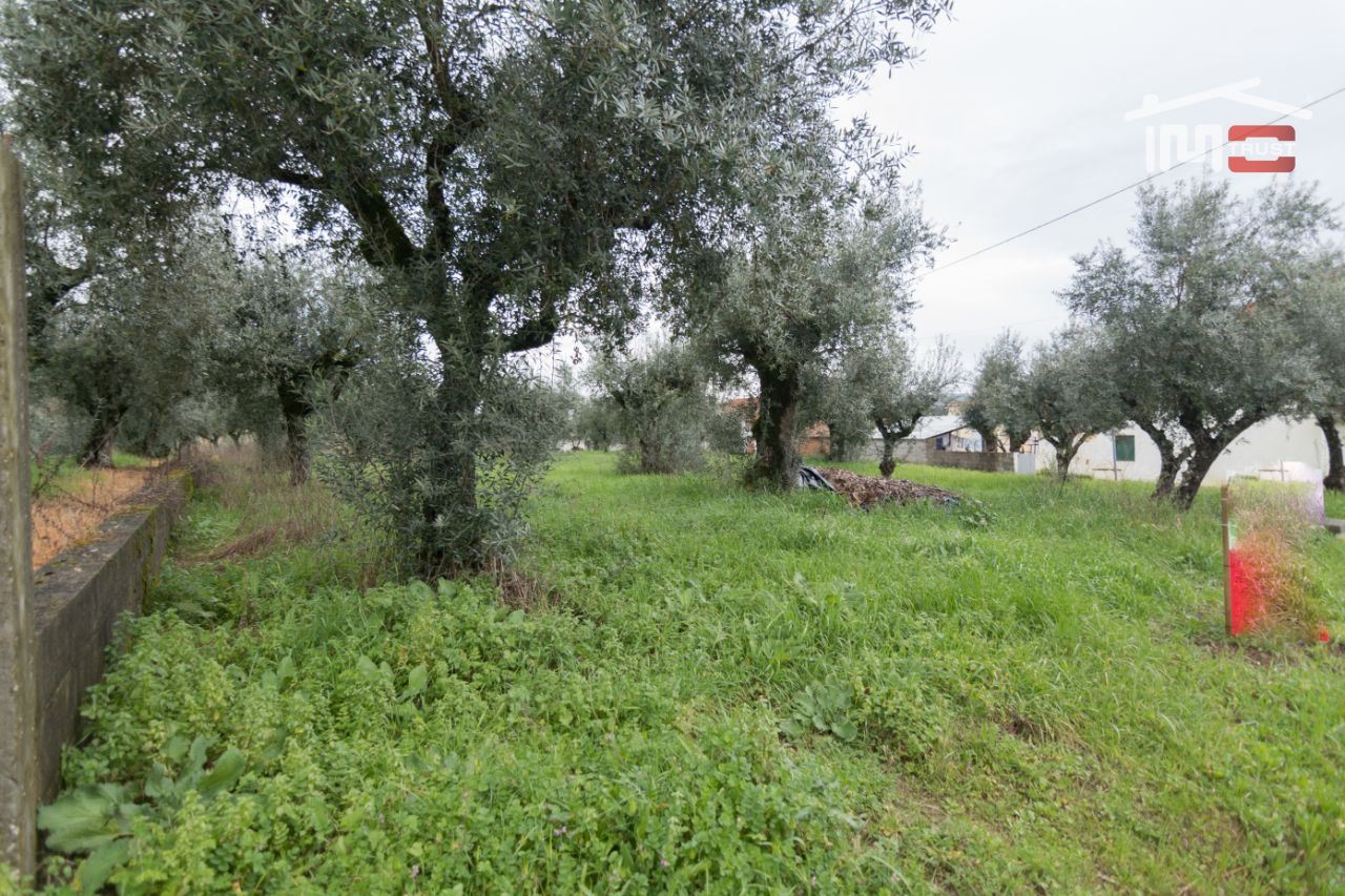 Terreno Agricola ou Rústico para Venda em Freixianda, Ribeira do Fárrio e Formigais