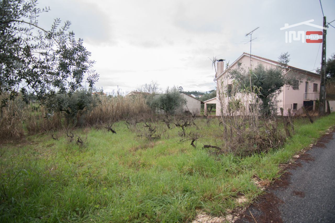 Terreno Agricola ou Rústico para Venda em Freixianda, Ribeira do Fárrio e Formigais