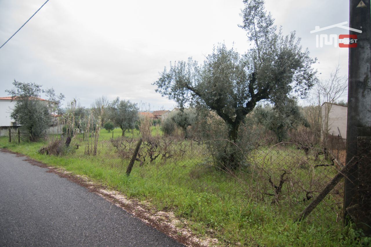 Terreno Agricola ou Rústico para Venda em Freixianda, Ribeira do Fárrio e Formigais