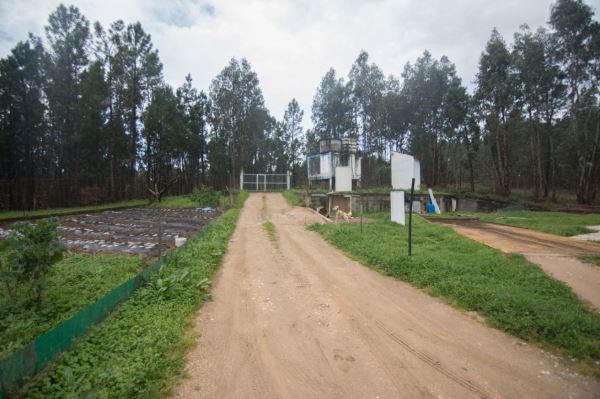 Detached house T2, para Sale