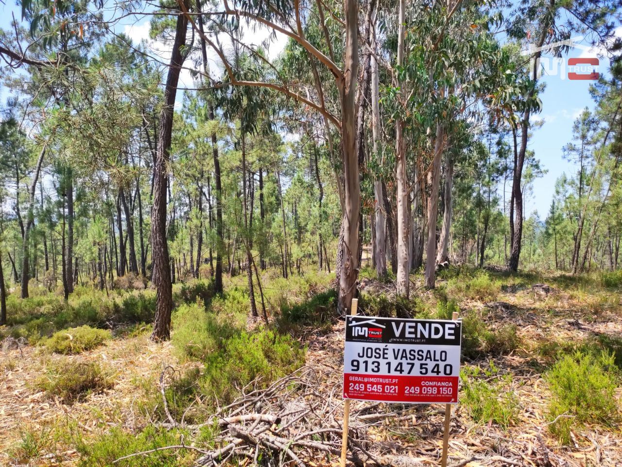 Terreno Agricola ou Rústico para Venda em Caxarias